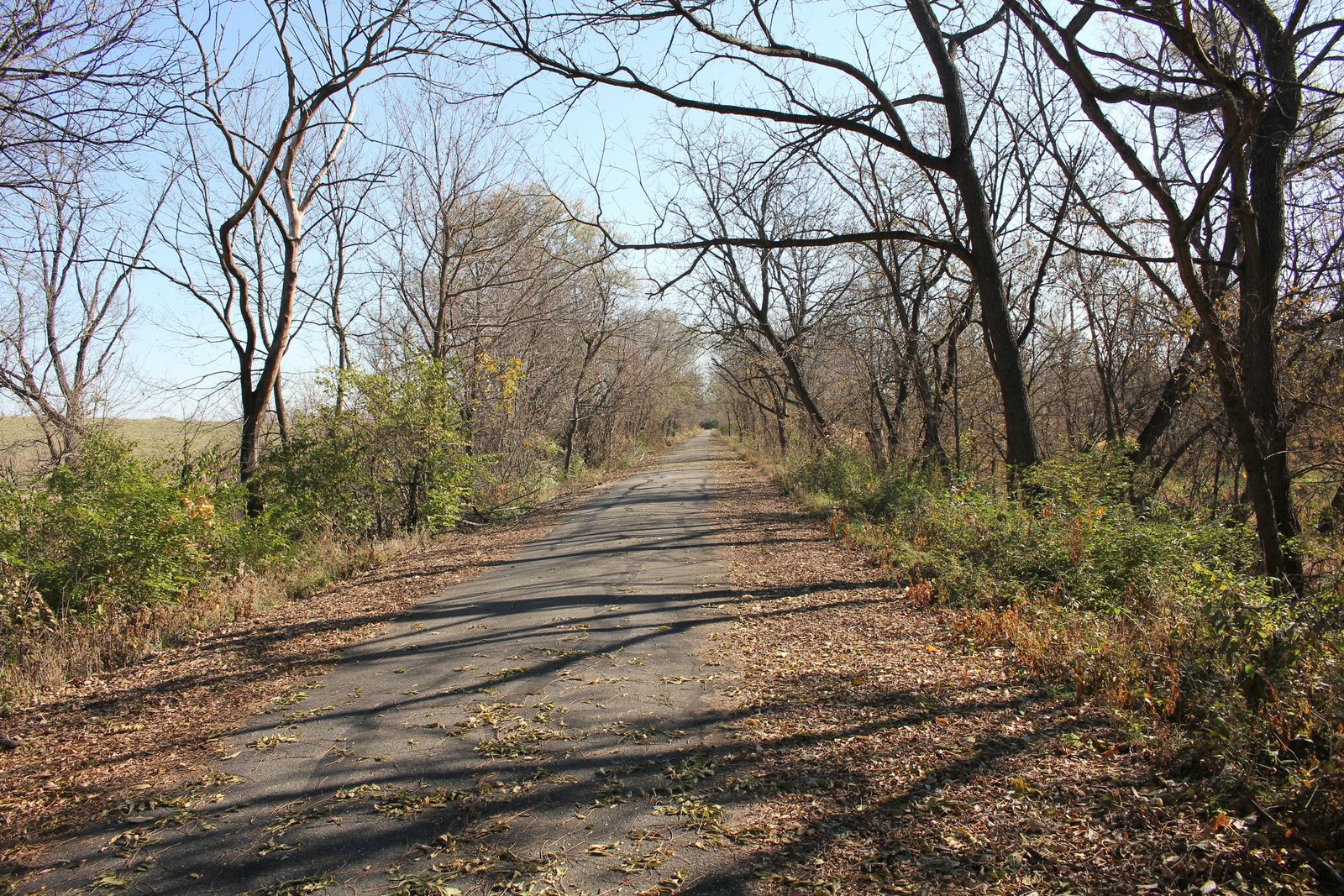 Looking east (railroad north)